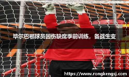 ng体育平台