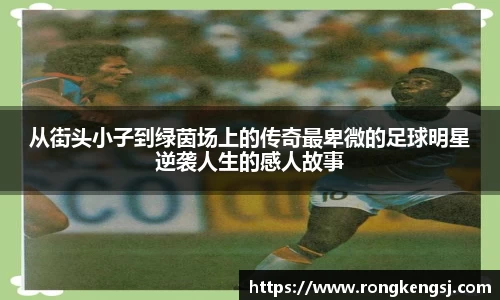 ng体育平台