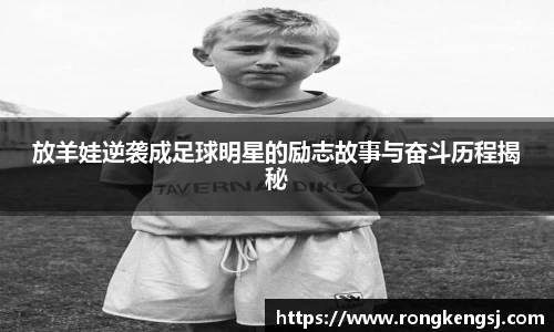 ng体育官方网站